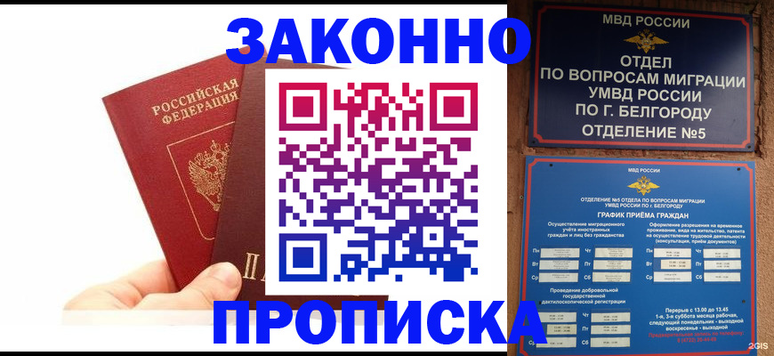 временная регистрация для школы в Завитинске